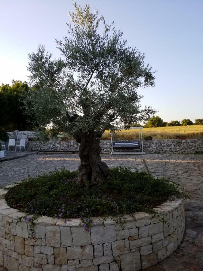 Ferienwohnung Dimora Del Sole Putignano Exterior foto